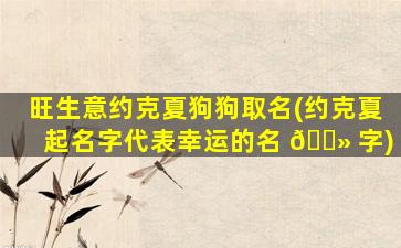 旺生意约克夏狗狗取名(约克夏起名字代表幸运的名 🌻 字)